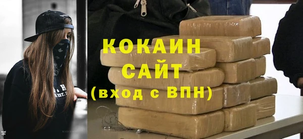 шишки Бородино