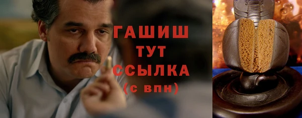 шишки Бородино