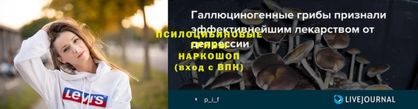 шишки Бородино