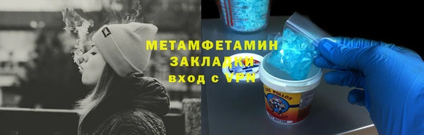 шишки Бородино