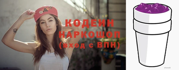 шишки Бородино