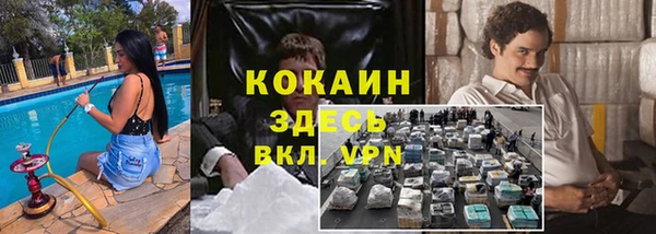 шишки Бородино