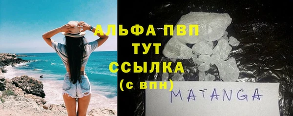 шишки Бородино