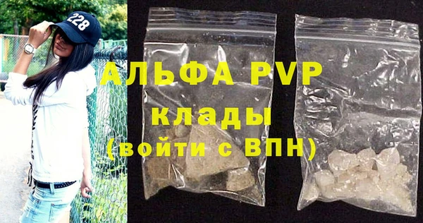шишки Бородино